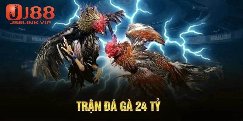 Khái quát điểm hấp dẫn về gà chọi miền tây