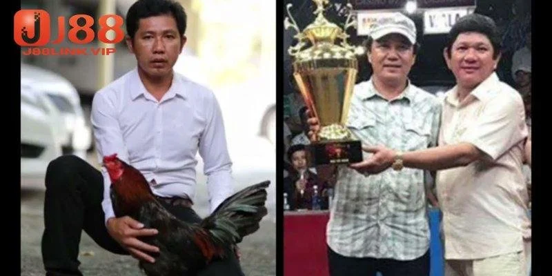 Quy tắc tham gia chơi gà chọi miền tây